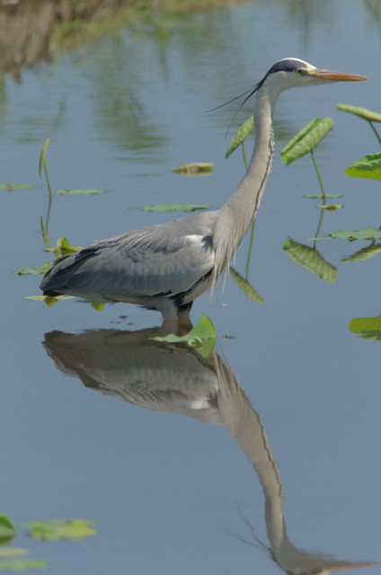K3033137_DxO.jpg