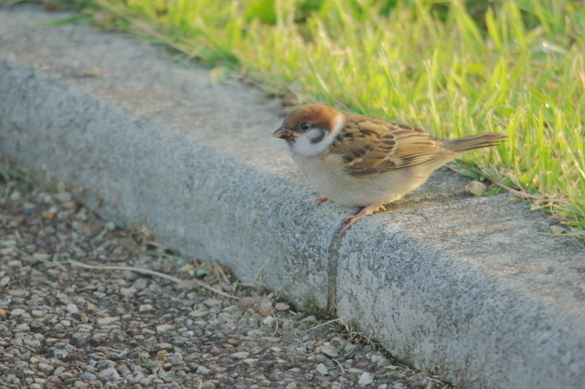 K3033861.jpg