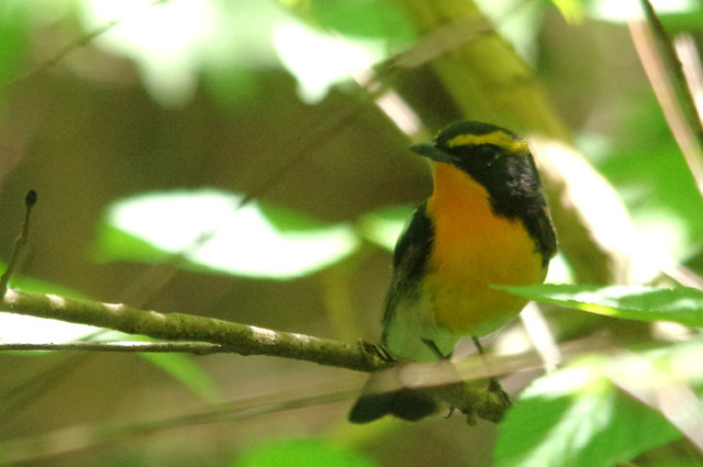 K5056228_DxO.jpg