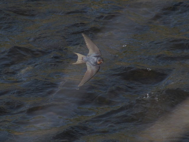 S1005938.jpg